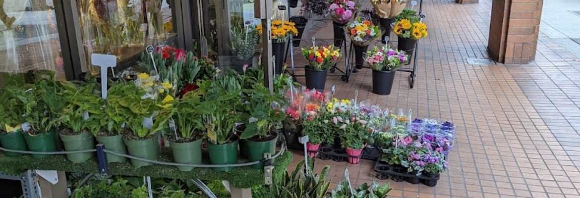 Eden Florist