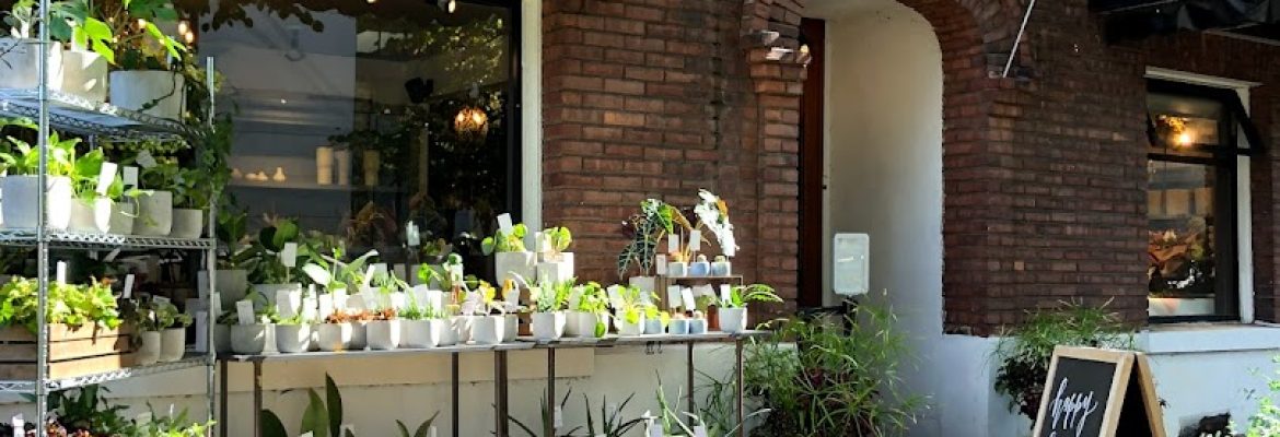 Celsia Florist Vancouver