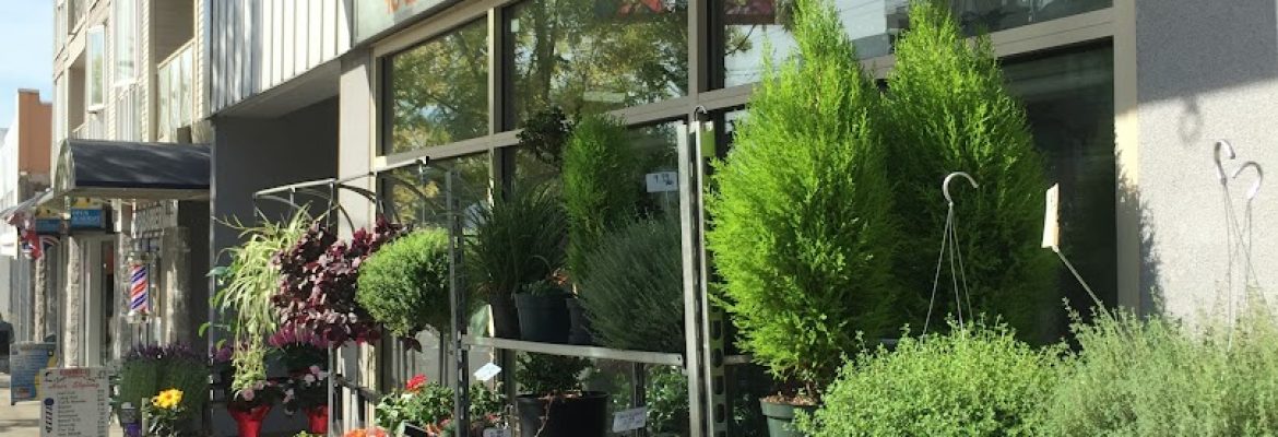 Christina’s Flower Shop