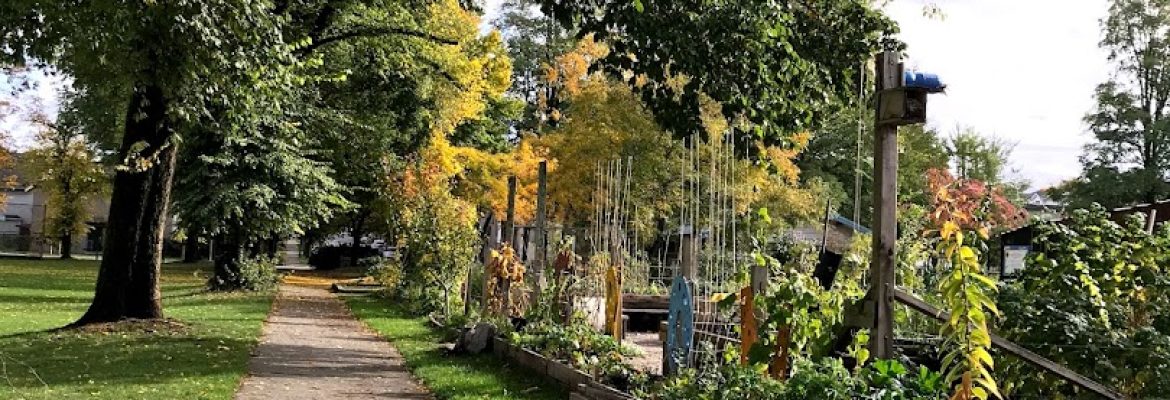 Woodland Park