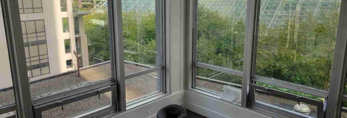 Dr. Jackson Mann Chiropractor