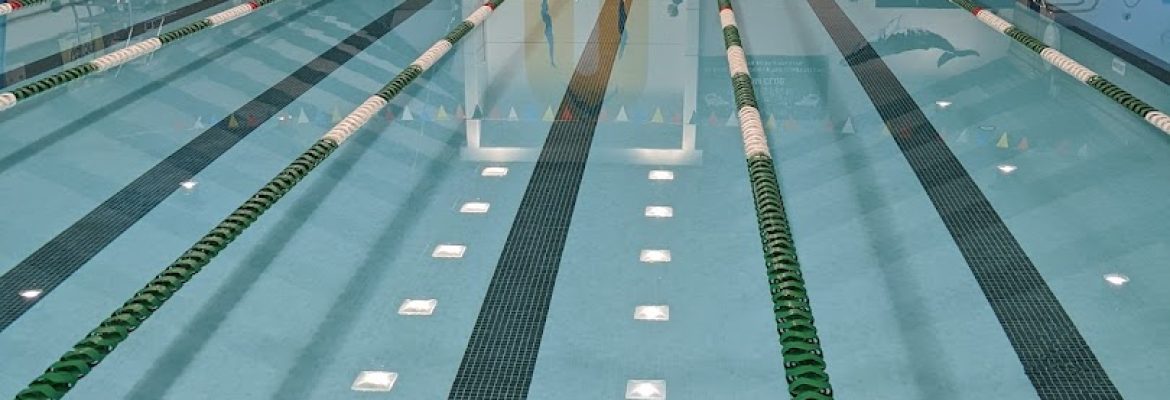 Templeton Park Pool