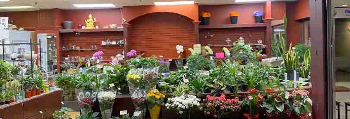 Wynn’s Plants & Flowers
