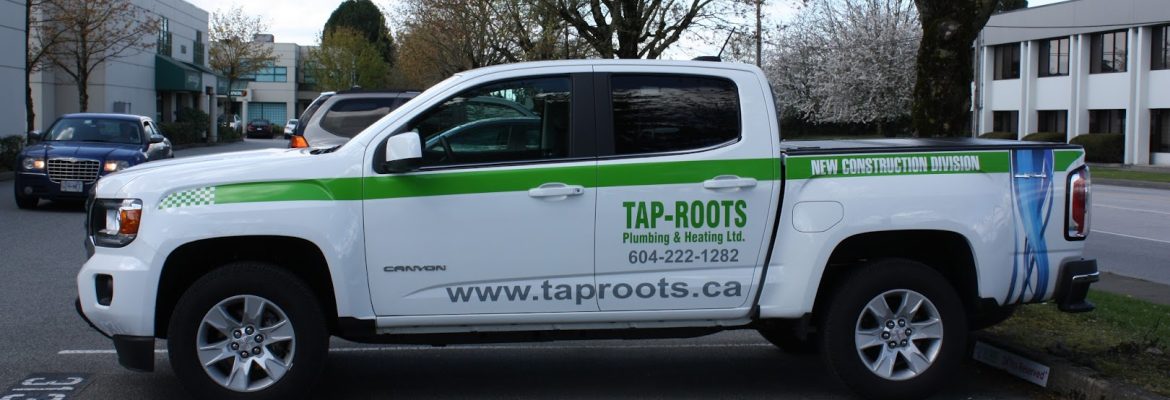 Tap Roots