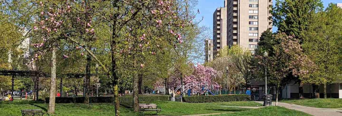 Nelson Park